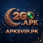 2go game